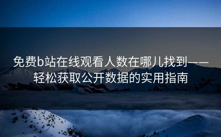 免费b站在线观看人数在哪儿找到——轻松获取公开数据的实用指南