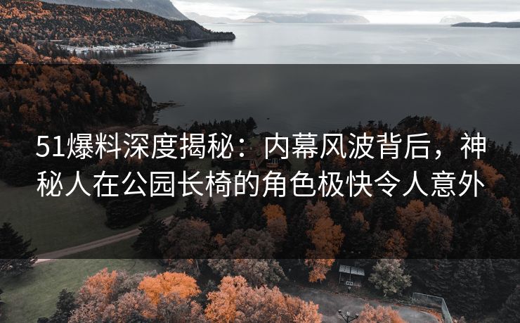 51爆料深度揭秘：内幕风波背后，神秘人在公园长椅的角色极快令人意外